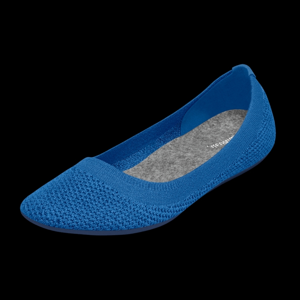 ALLBIRDS Women's Tree Breezer Ballet Flats in Pacific Blue (black sole) …